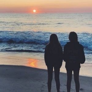 Meet your Posher, Sadie